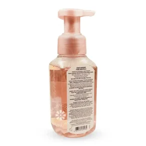 Pure Wonder Gentle Foaming Hand Soap Bath & Body Works